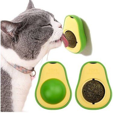 Avokado (kedi naneli yenilebilir lezzet)